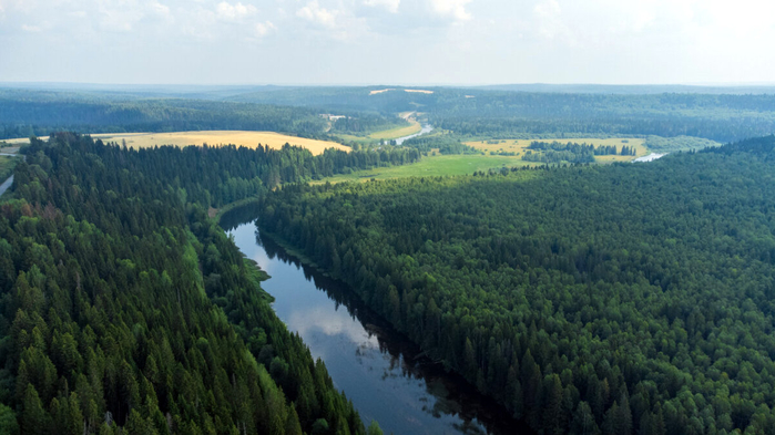 Александр Гладких (700x393, 298Kb)
