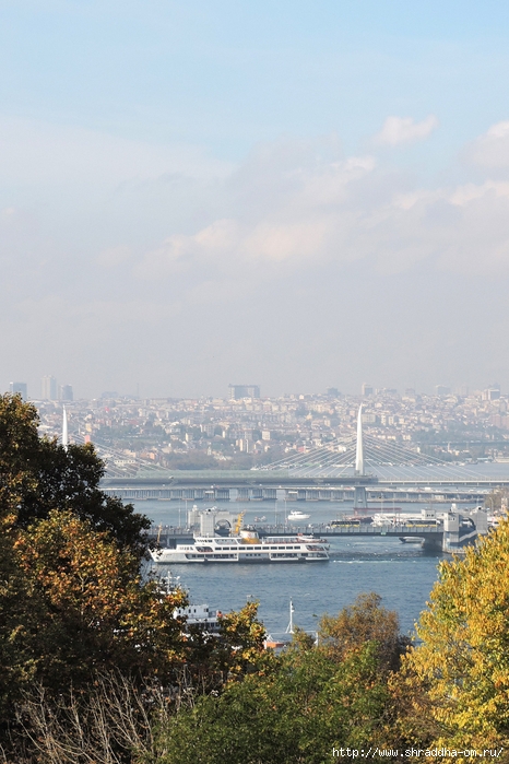 Стамбул, Турция, Istanbul, Shraddhatravel 2021 (92) (466x700, 274Kb)