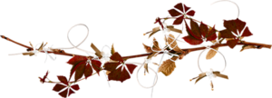 137828369_korichnevuye_listiki (300x108, 42Kb)