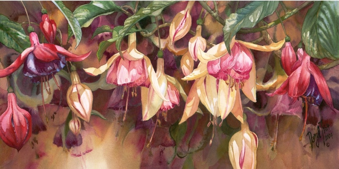 fullsize (1) (700x348, 304Kb)