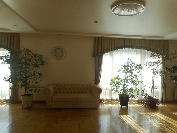 4878453_DSCN1064 (700x525, 243Kb)