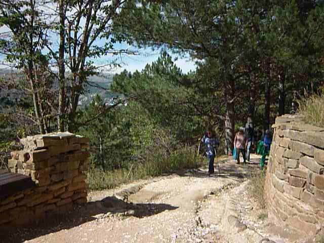 P1090038 (640x480, 253Kb)