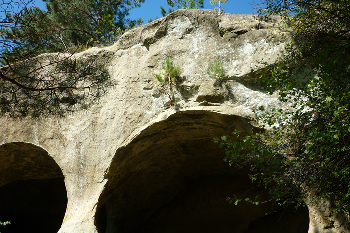 P1060081 (700x466, 539Kb)