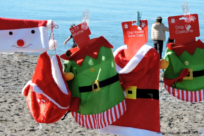 Рождественская Ярмарка в Фетхие 4 декабря, Турция, Fethiye, Turkey, Shraddhatravel 2022 (9) (700x466, 301Kb)