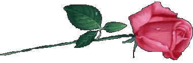 cb1 (380x125, 13Kb)