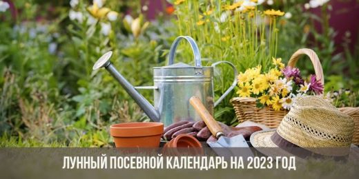 lunnyj-posevnoj-kalendar-na-2023-god-1-840x420 (520x260, 126Kb)