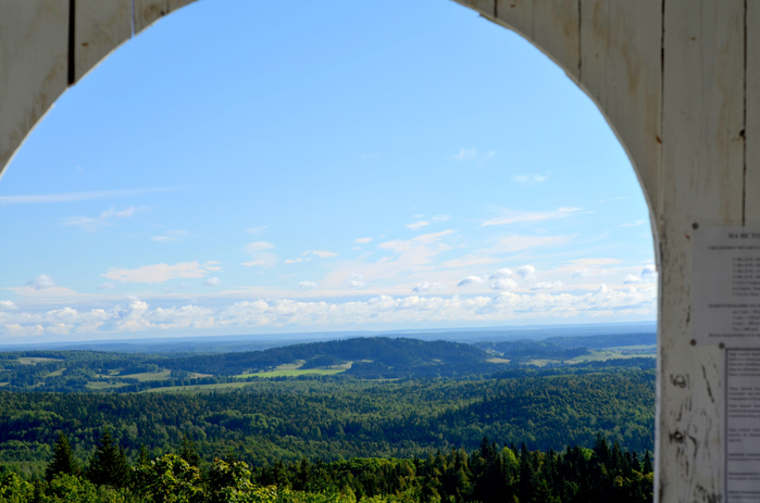DSC_2645 (700x463, 352Kb)