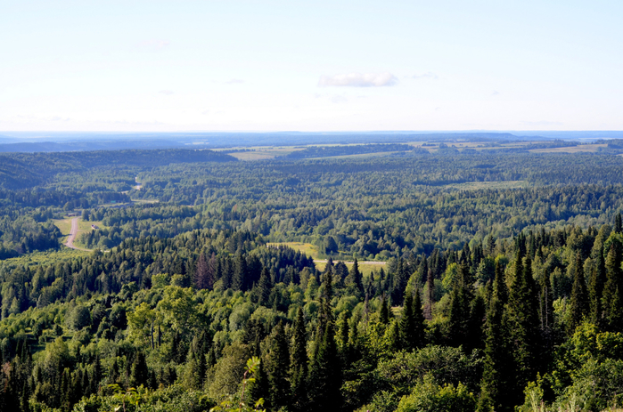 DSC_2654 (700x463, 446Kb)