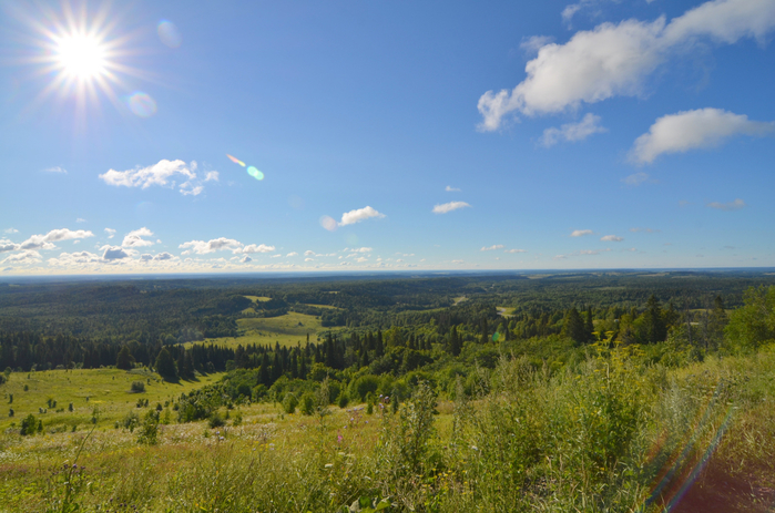 DSC_2658 (700x463, 394Kb)