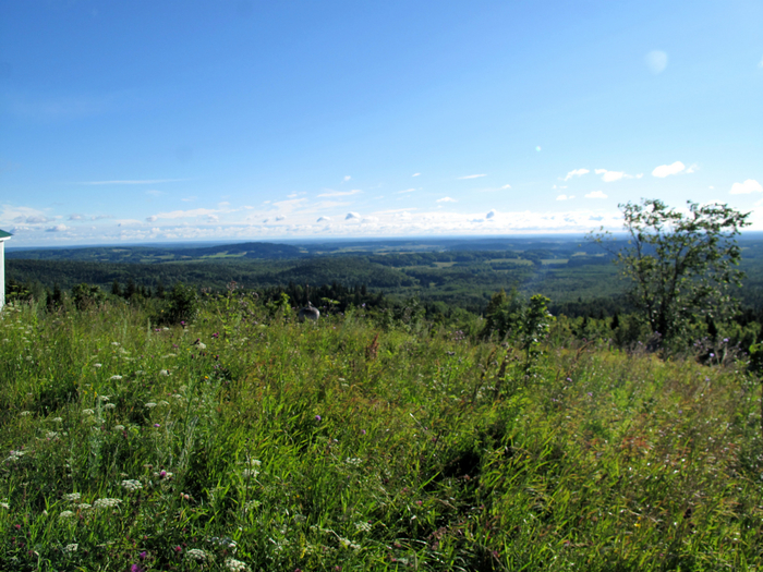 IMG_9220 (700x525, 518Kb)