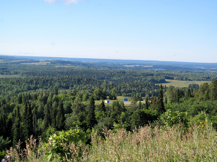 IMG_9222 (700x525, 503Kb)