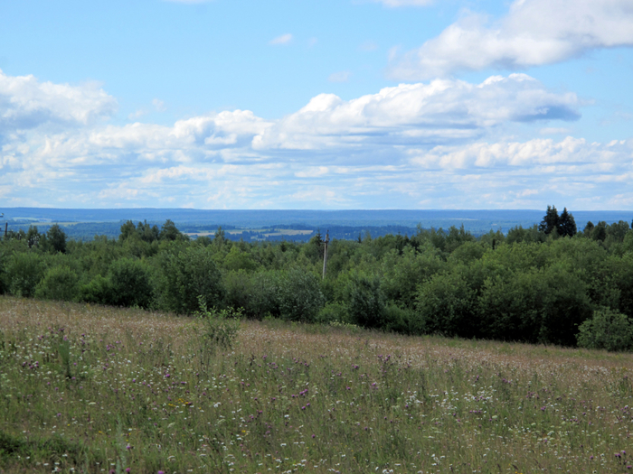 IMG_9318 (700x525, 447Kb)