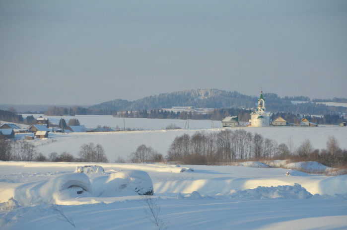 DSC_2303 (700x463, 317Kb)