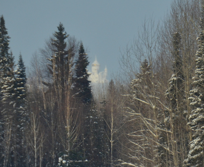 DSC_2321 (700x572, 454Kb)