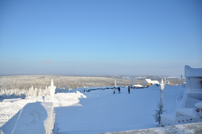DSC_2432 (700x463, 300Kb)