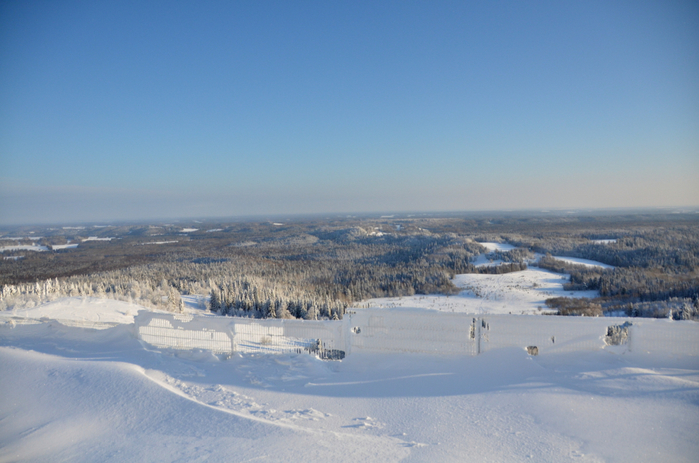 DSC_2438 (700x463, 336Kb)