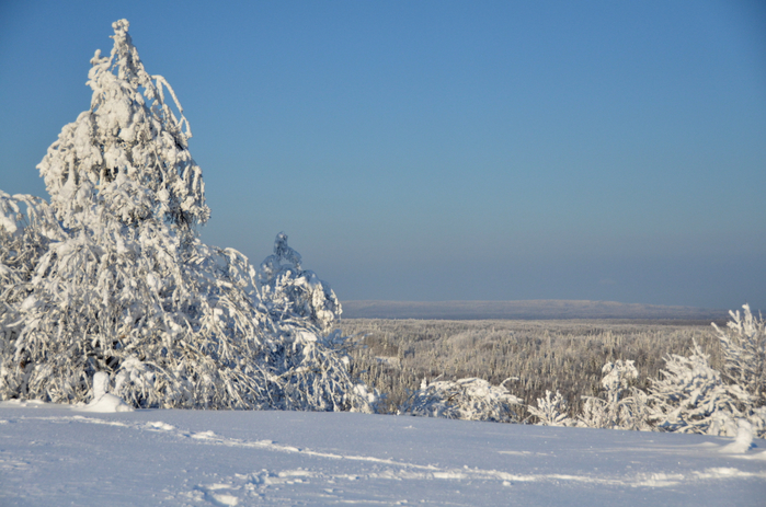 DSC_2456 (700x463, 397Kb)