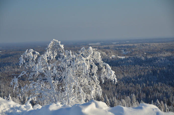 DSC_2458 (700x463, 406Kb)