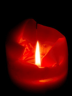 4026647_i3131 (240x320, 38Kb)