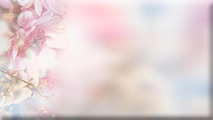  (300x169, 16Kb)