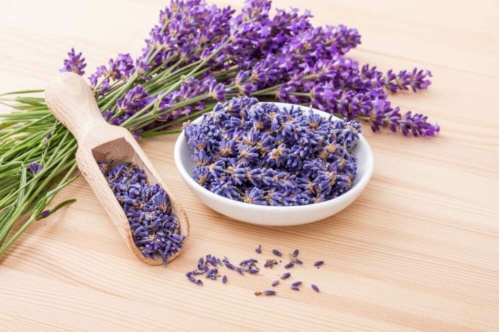 2835299_lavanda_1_ (700x466, 96Kb)