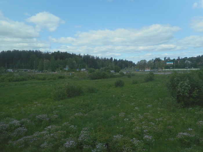 4878453_pDSCN5767t (700x525, 75Kb)