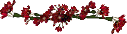 71153315_AA54 (261x70, 13Kb)