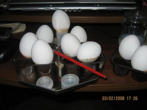 Как сделать заготовку для пасхального яйца (3) (480x360, 81Kb)