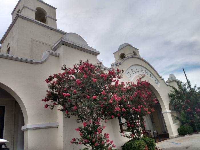 IMG_20230708_134430721_HDR (700x525, 246Kb)