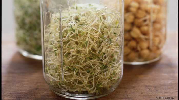 how-grow-sprouts-max-health-benefits (700x393, 268Kb)
