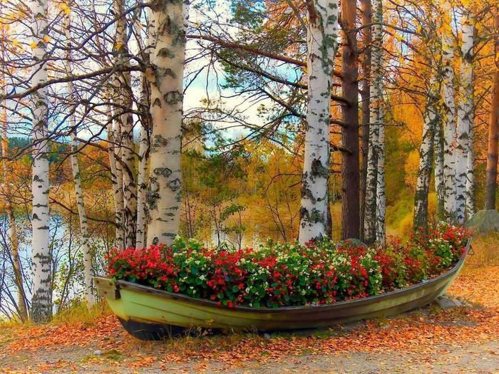 КАКАЯ КРАСОТА (700x525, 125Kb)