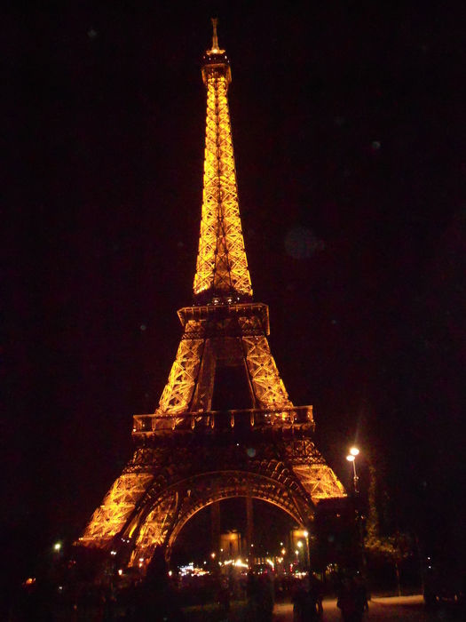 DSCN4126 (525x700, 241Kb)
