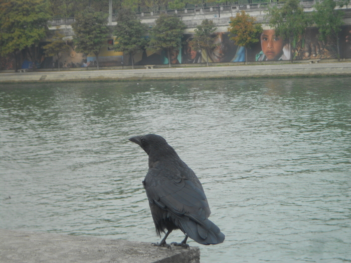 DSCN4190 (700x525, 296Kb)