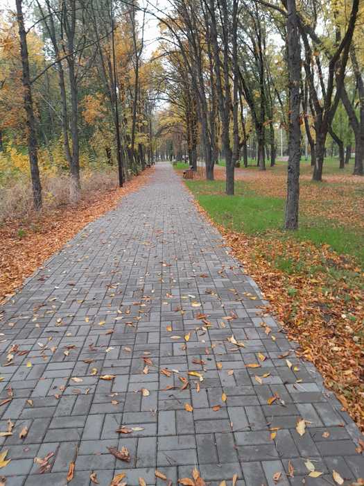 IMG-20221010-WA0003 (525x700, 64Kb)