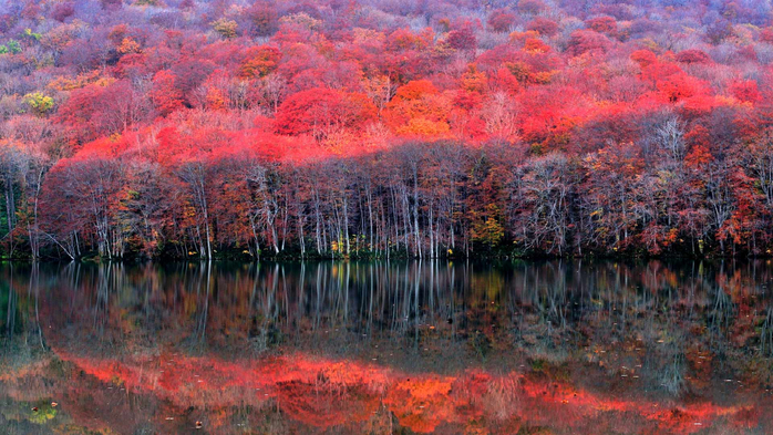 LateAutumn (700x393, 440Kb)