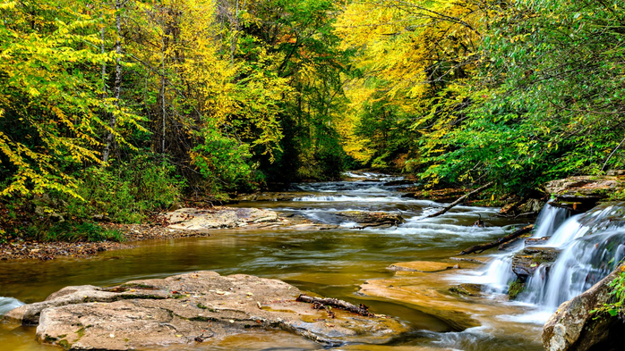 Leatherwood Creek tributary to Elk River in autumn, Webster County, West Virginia, USA (700x393, 557Kb)