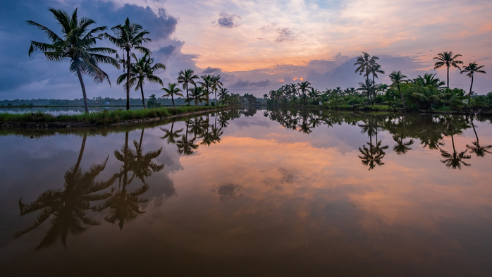 Sunrise view from landscape backwater, Kadamakkudy, Kerala, India (700x393, 279Kb)
