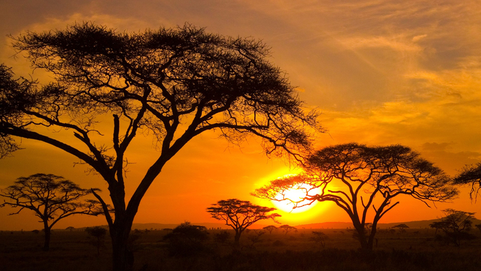 Sunset in the Serengeti, Tanzania (700x393, 395Kb)