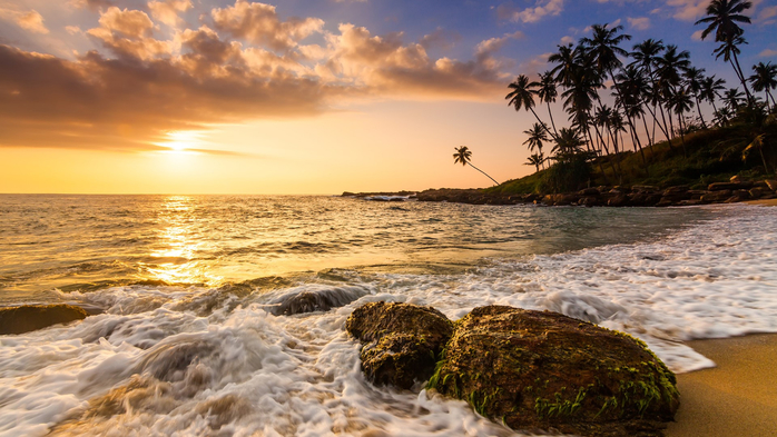 Sunset on the sandy beach with coconut palms, Sri Lanka (700x393, 371Kb)