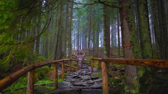 The path to Morskie Oko, Tatra National Park, Poland (700x393, 404Kb)