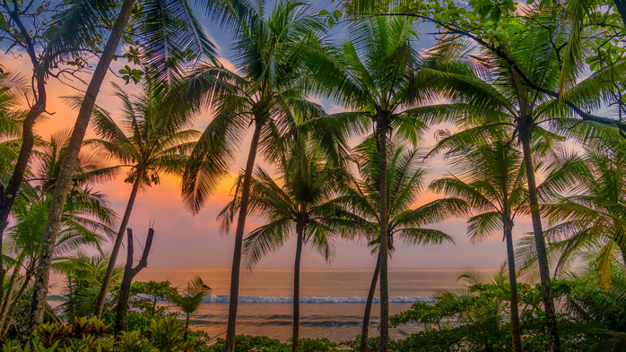 Tropical sunset over beach, Corcovado National Park, Osa Peninsula, Costa Rica (700x393, 505Kb)