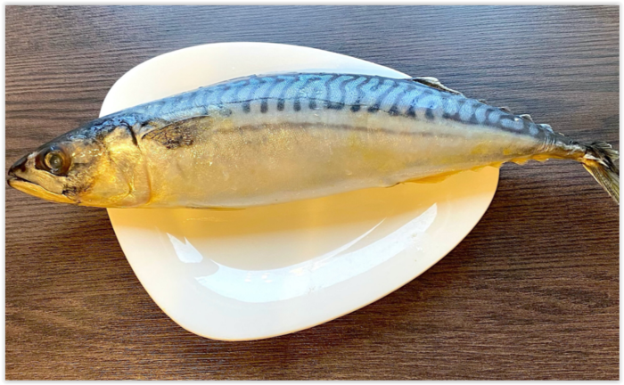 Поделки для сада: Золотая рыбка - каталог статей на сайте - ДомСтрой