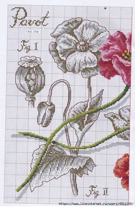 Screenshot_2023-11-05-22-39-43-536_com.adobe.reader (457x700, 265Kb)