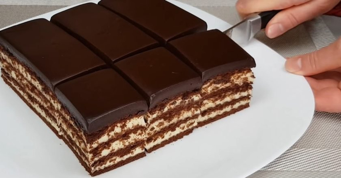 Шоколадный торт с нежным кремом (без выпечки) 1 (700x366, 177Kb)