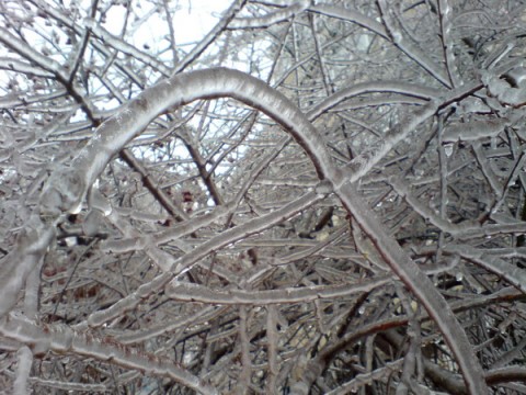   -2 (480x360, 76Kb)