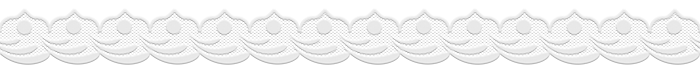 dsm (700x80, 79Kb)