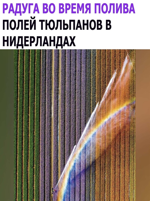 1 (523x700, 187Kb)