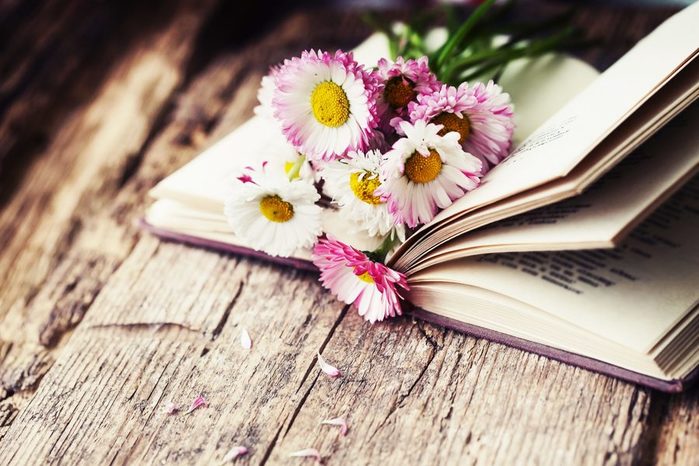 shutterstock_flowers_in_book-scaled (700x466, 76Kb)