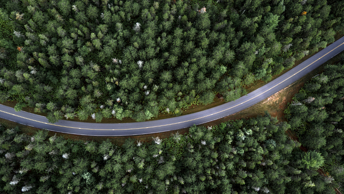 Country road through forest aerial view, north USA (700x393, 461Kb)