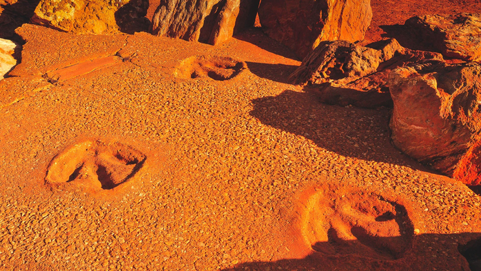 Dinosaur footprints at Gantheaume Point in Broome, Western Australia (700x393, 551Kb)